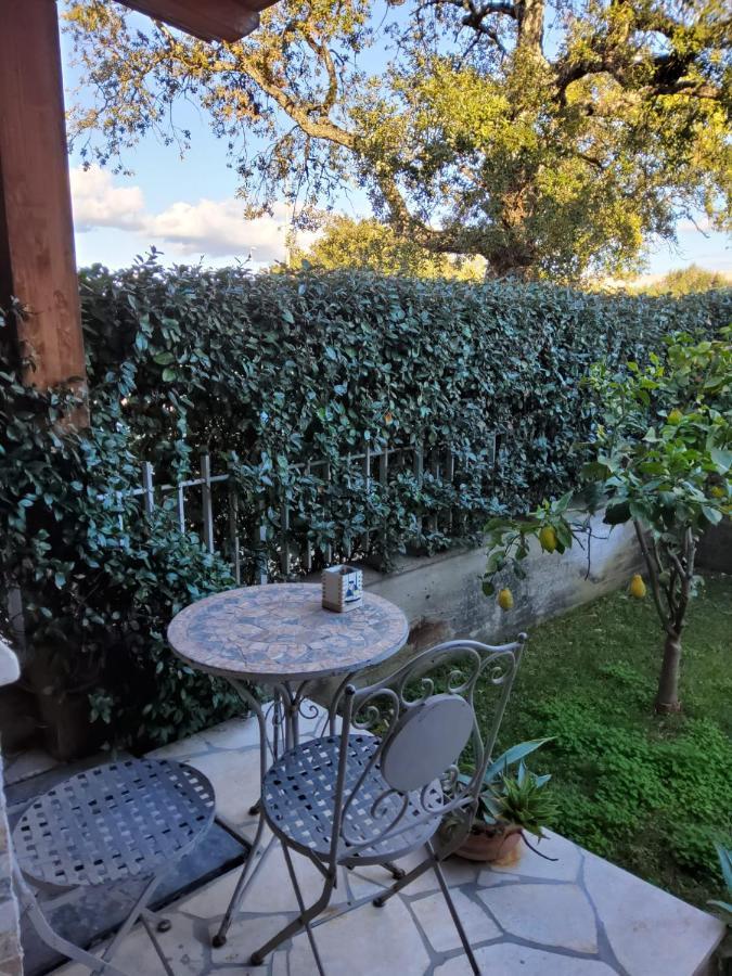 Lulamax Sardegna أولبيا المظهر الخارجي الصورة