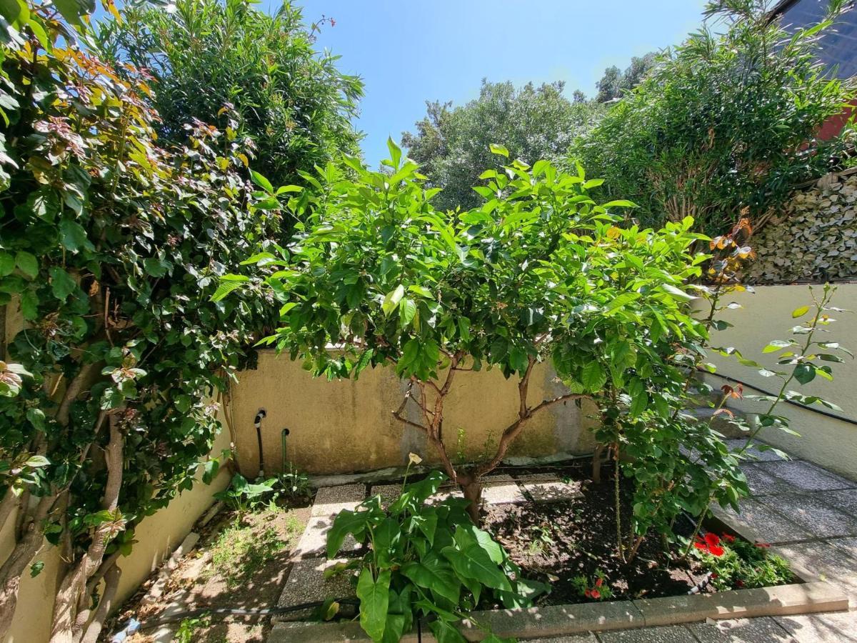 Lulamax Sardegna أولبيا المظهر الخارجي الصورة